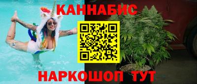 стафф Будённовск