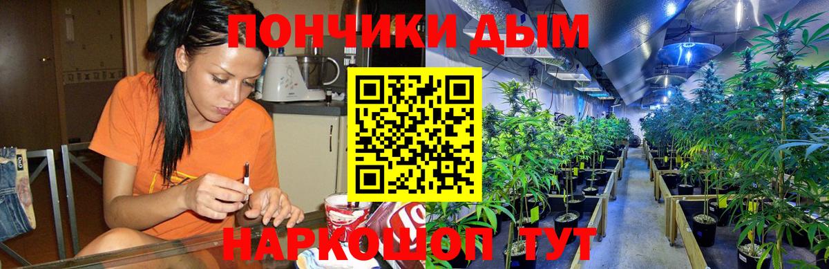 Бошки Шишки гибрид Красный Сулин